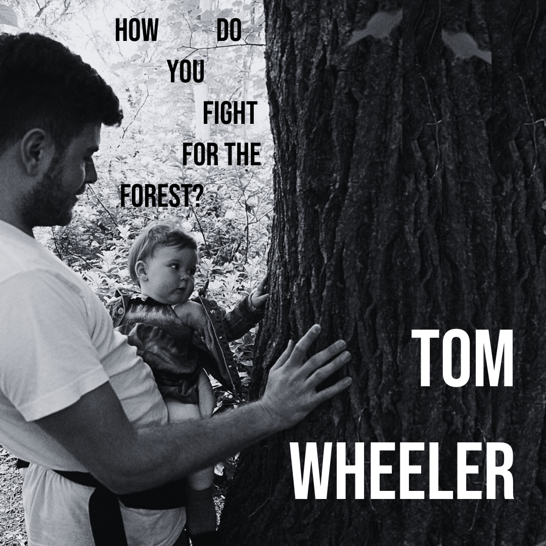 Tom Wheeler – How do you Fight for the Forest?